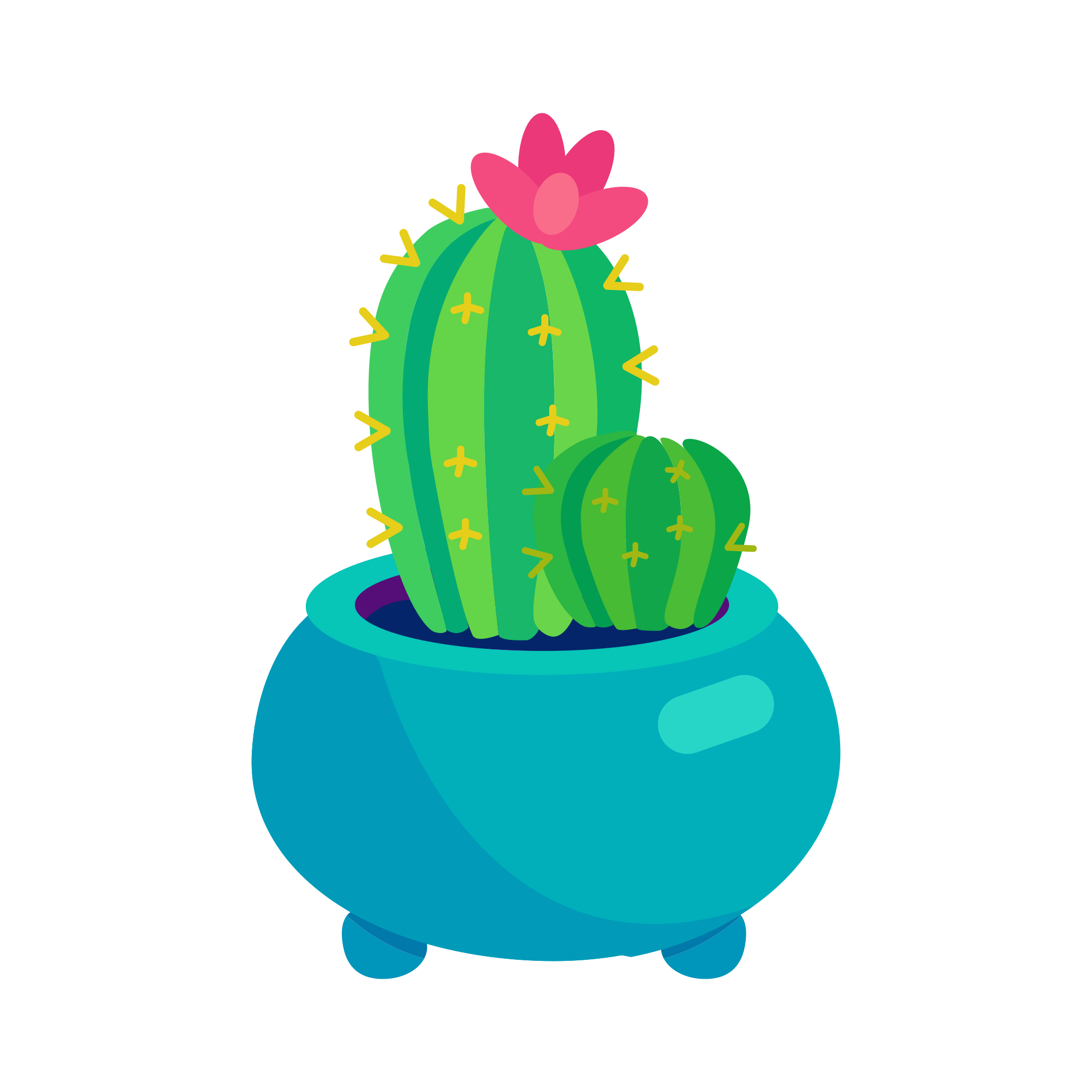 cactusV